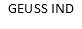 GEUSS IND